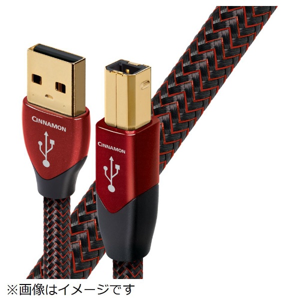 USBケーブル USB2 CIN 0.75M